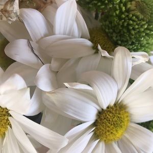 Meet your Posher, Liz