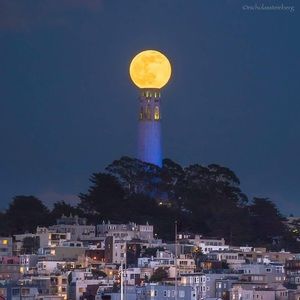 Meet your Posher, Donna