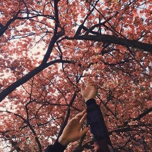 Meet your Posher, Terrence