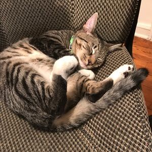 Meet your Posher, Rita