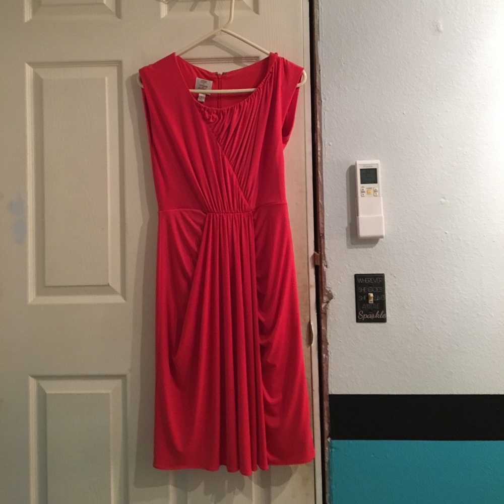Suzi Chin dress