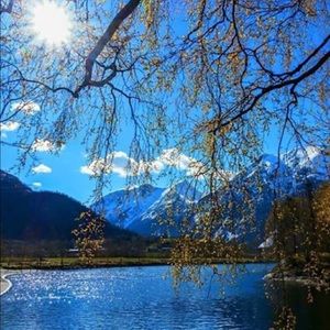 Meet your Posher, Ban