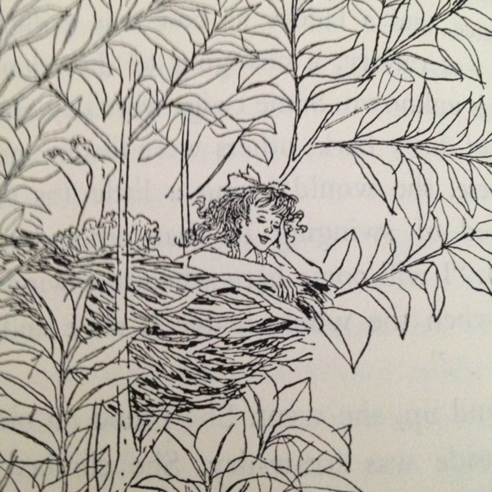 Meet your Posher, Rae