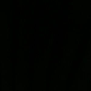 Meet your Posher, Celena