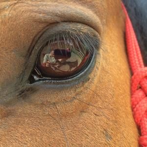 Meet your Posher, Tammy