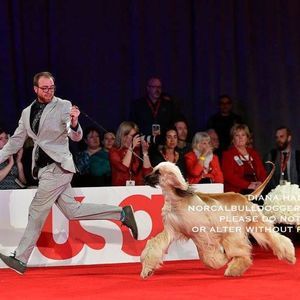 Meet your Posher, Daniel