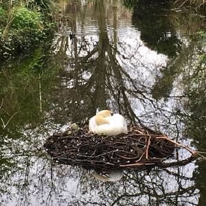 Meet your Posher, Jeanne