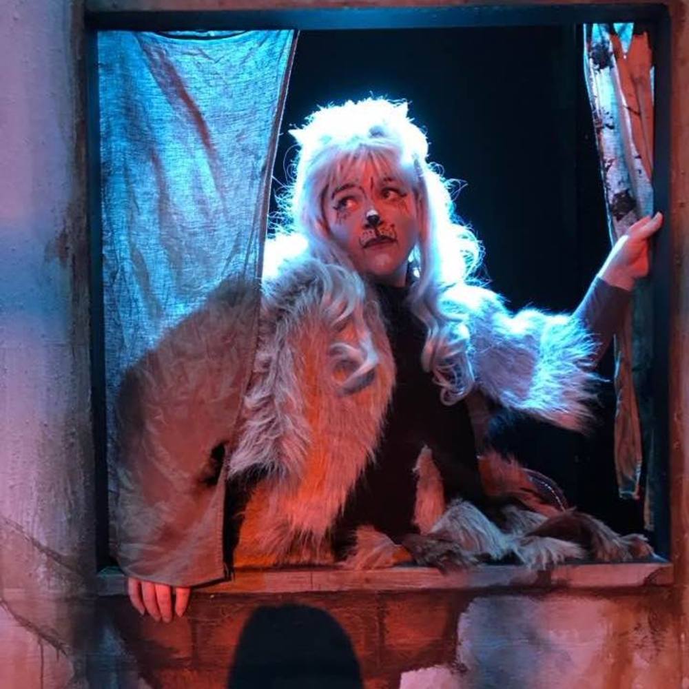 Meet your Posher, Harriet