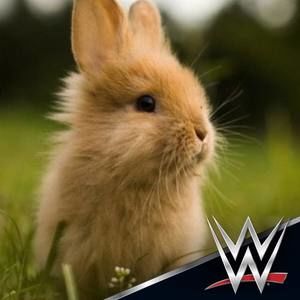 Meet your Posher, Molina