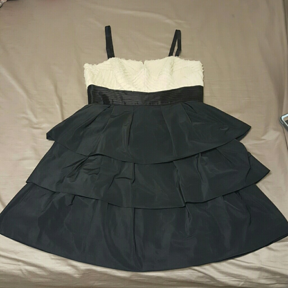NWOT BCBG Raw Silk and Taffeta Dress