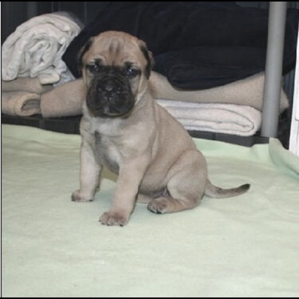 Meet your Posher, Ash