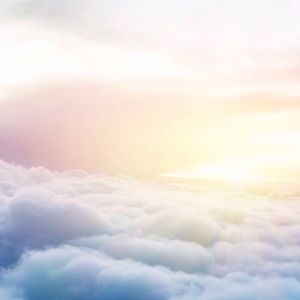 Meet your Posher, Royal