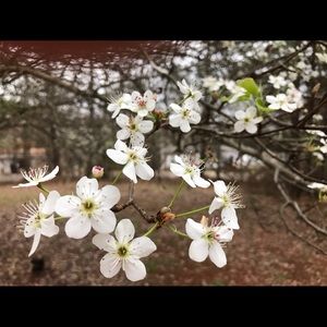 Meet your Posher, Patricia