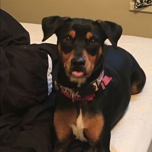 Meet your Posher, Sharon