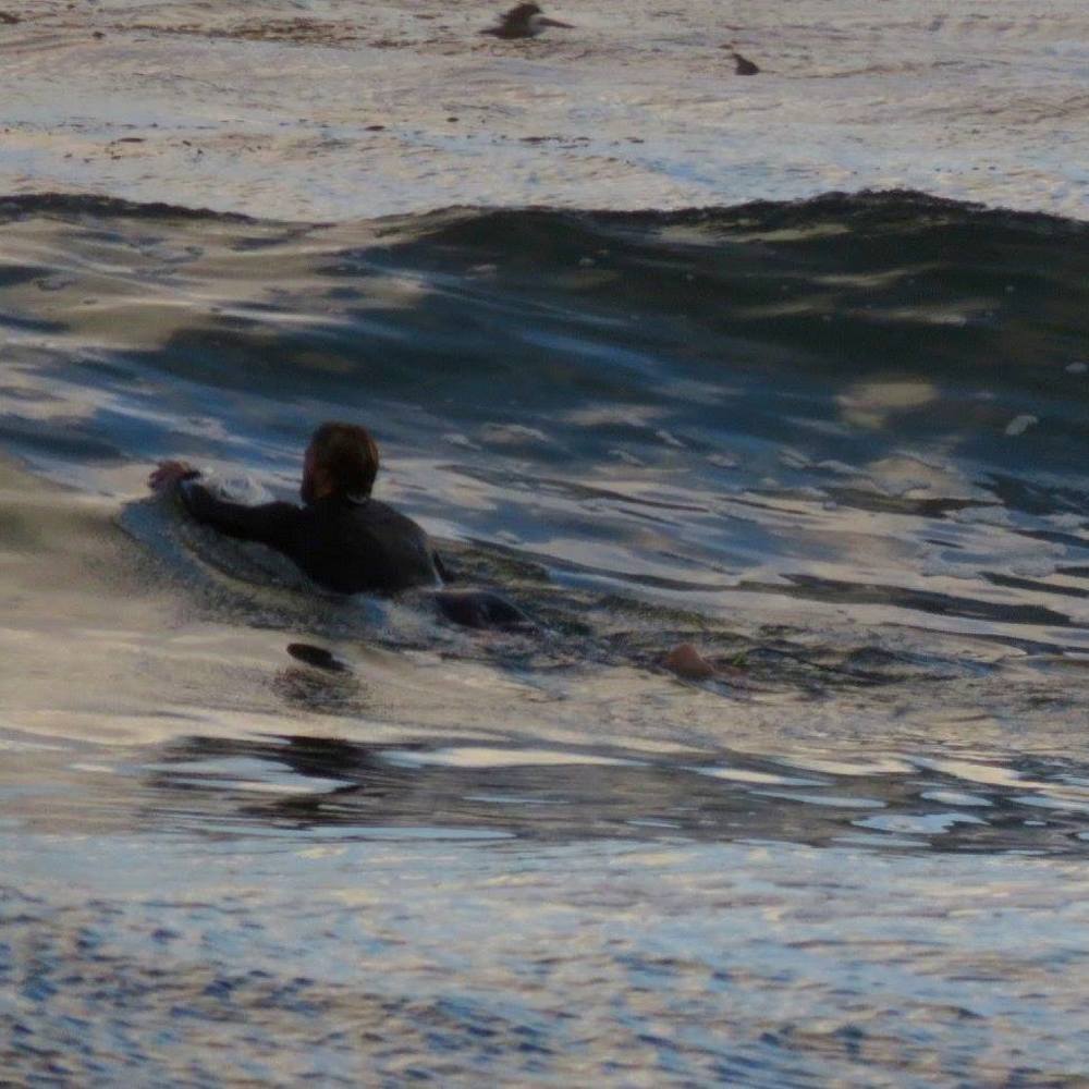 Meet your Posher, Cole