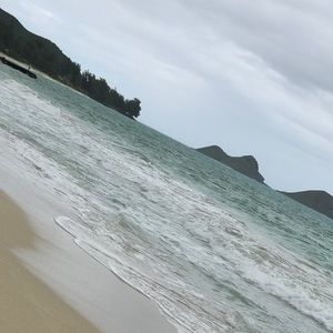 Meet your Posher, Lindy