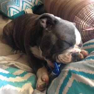 Meet your Posher, Terra lynn