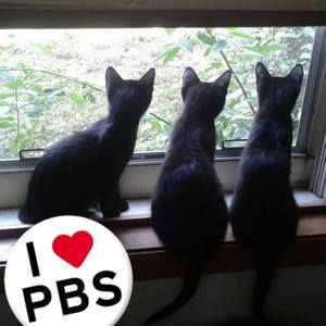 Meet your Posher, Sue