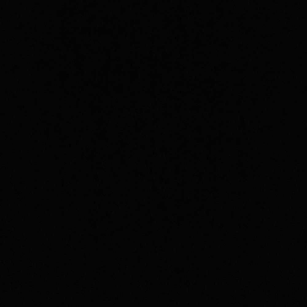 Meet your Posher, Molly