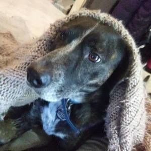 Meet your Posher, Stacy