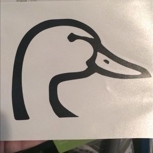 Duck head vinyl