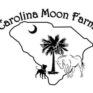 Meet your Posher, Carolina moon