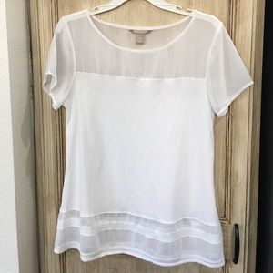 Sheer detail top