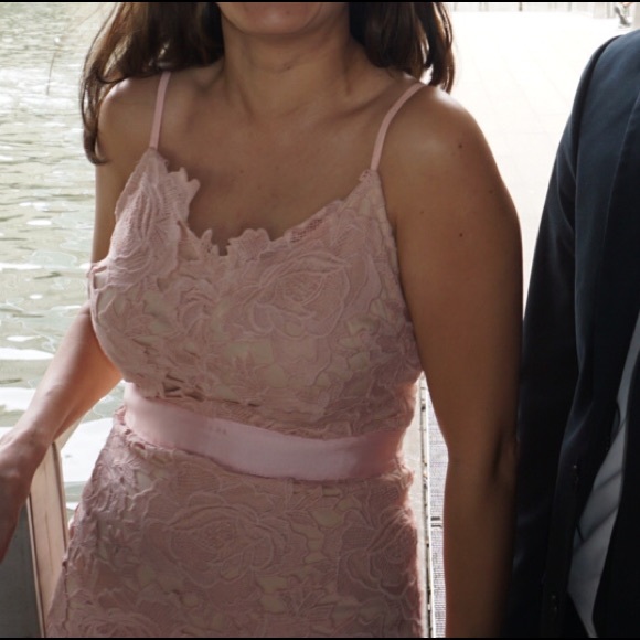Akira lace blush dress. - Picture 3 of 4