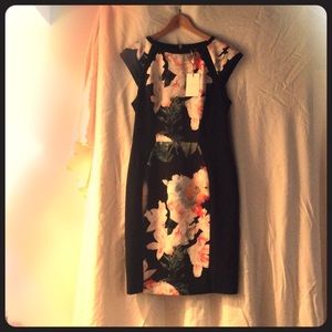 Ted Baker London Opulent Bloom Panel Dress- NWT