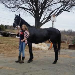 Meet your Posher, Alyssa