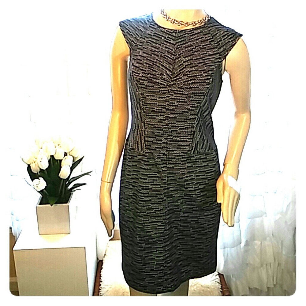 Ann Taylor Dress