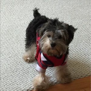 Meet your Posher, Veronica