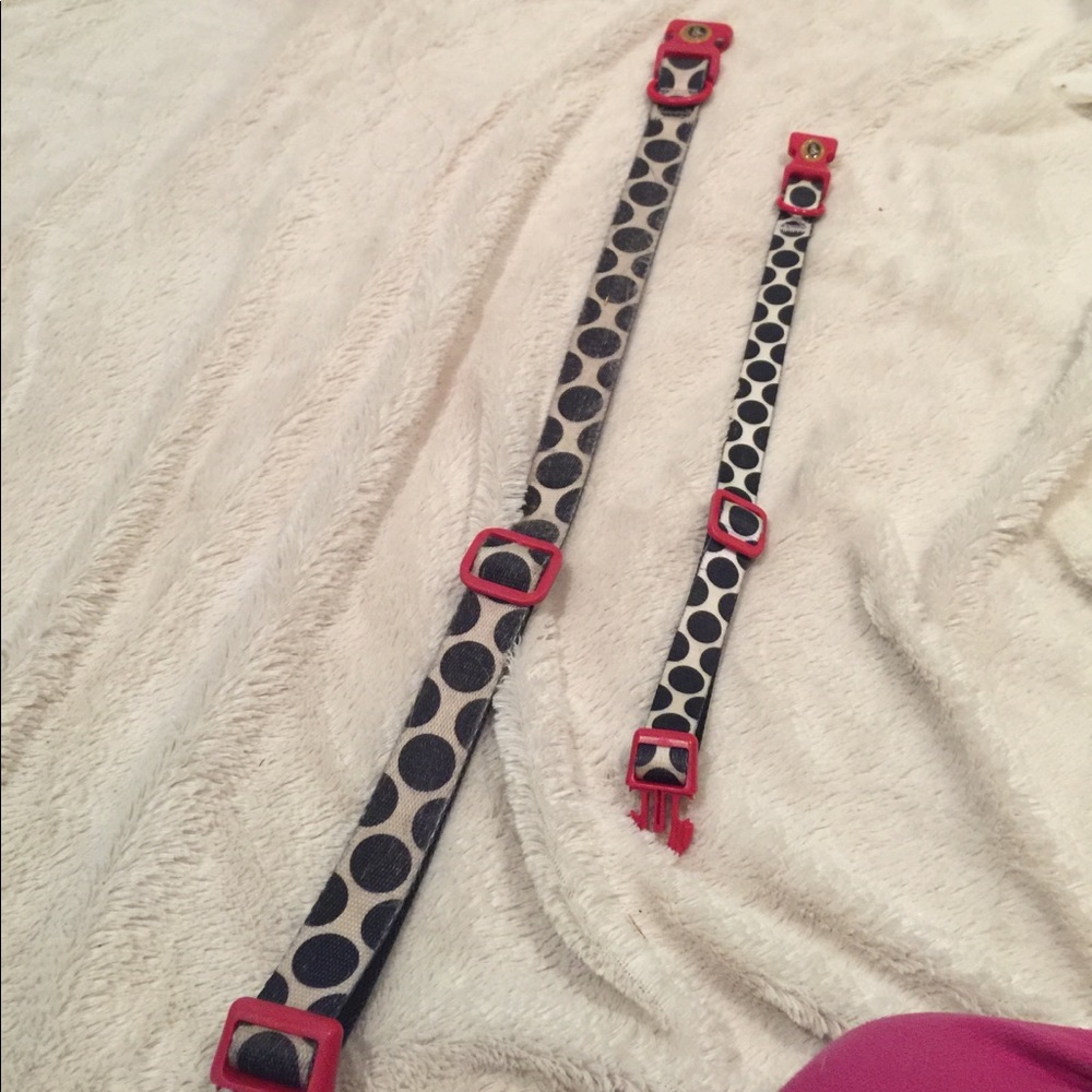Dog Collar