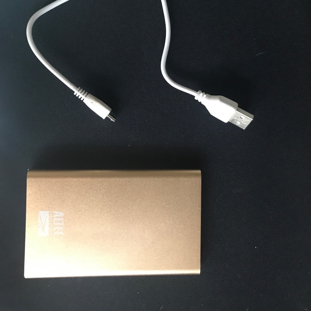 Portable charger for any phone type