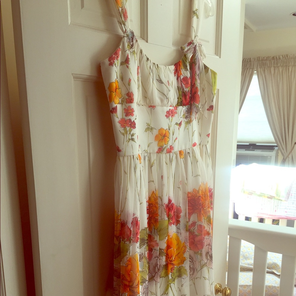 DavidMeister Lord &Taylor Spring floral dress sz12