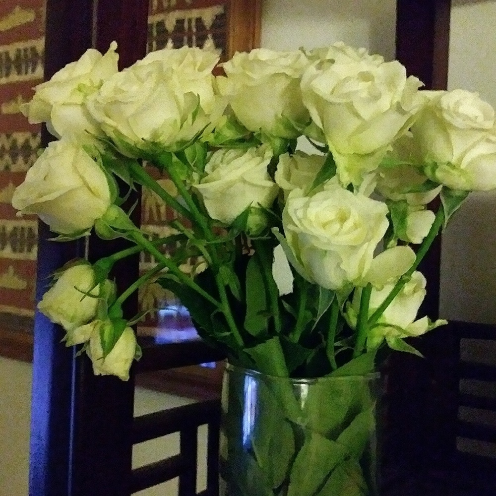 Meet your Posher, Kailee