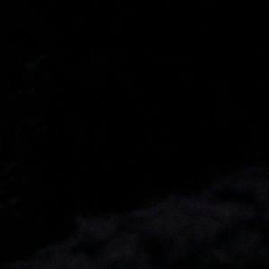 Meet your Posher, Kashawn