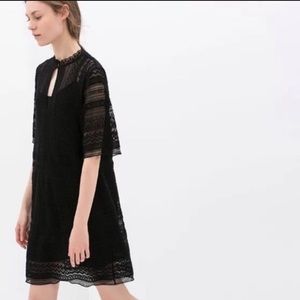 Zara basic black lace dress. Only worn once!