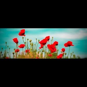 Meet your Posher, Laurie