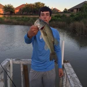 Meet your Posher, Garrett