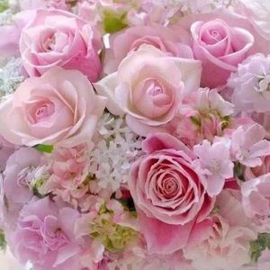 Meet your Posher, Janet