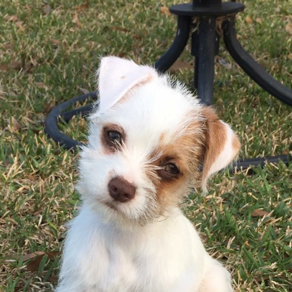 Meet your Posher, Justice