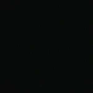 Meet your Posher, Ronnie