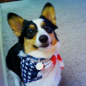 Meet your Posher, Mary