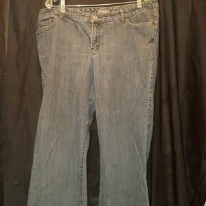 Venezia Average Bootcut Jeans Plus Size 4 or 20W.