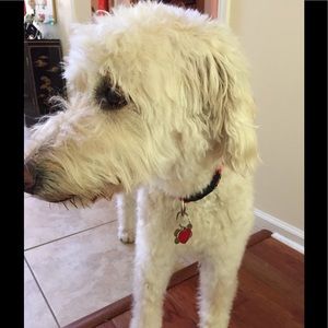 Meet your Posher, Yulin