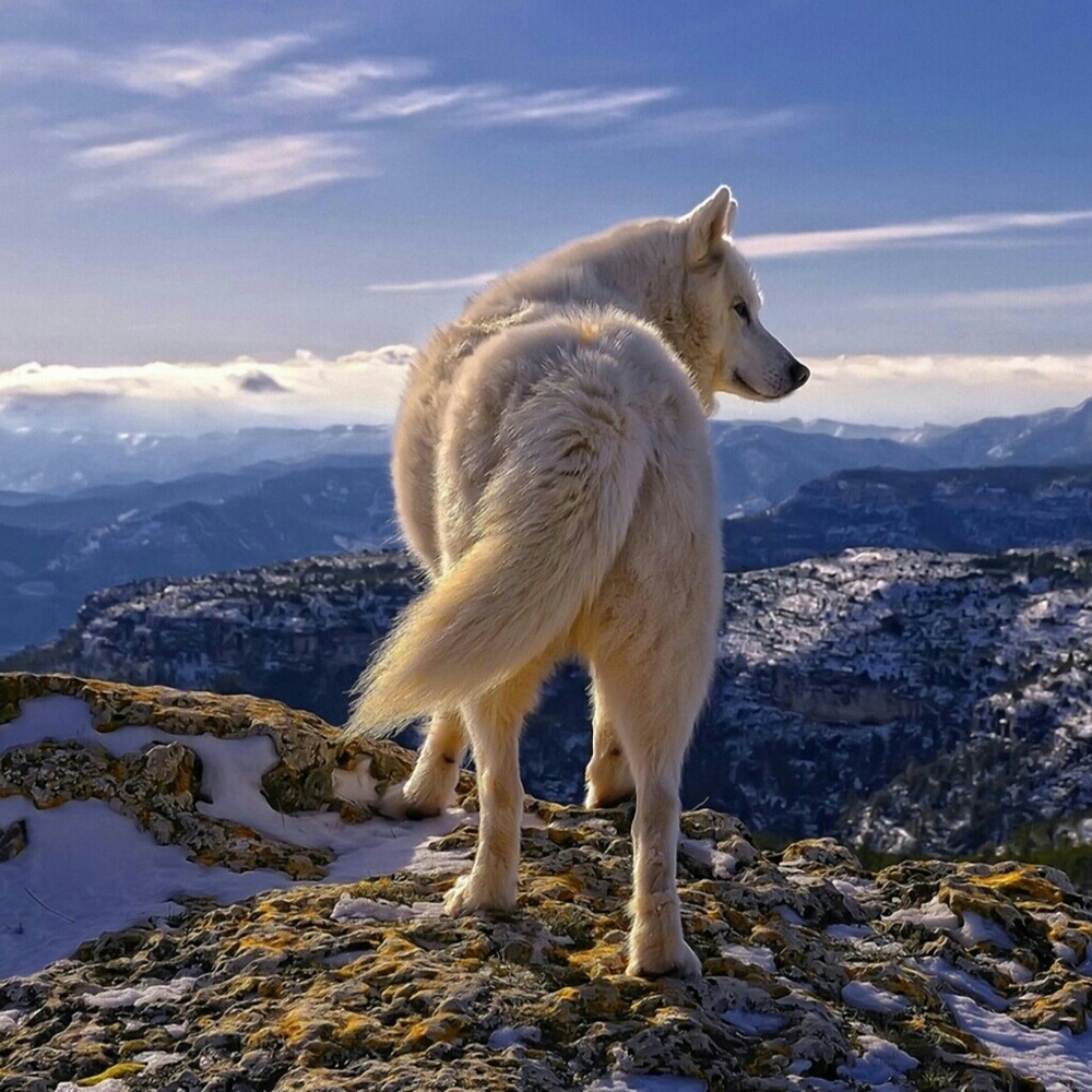 Meet your Posher, Jodie