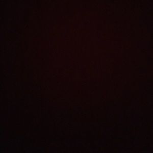 Meet your Posher, Bradley