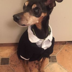 Meet your Posher, Steel