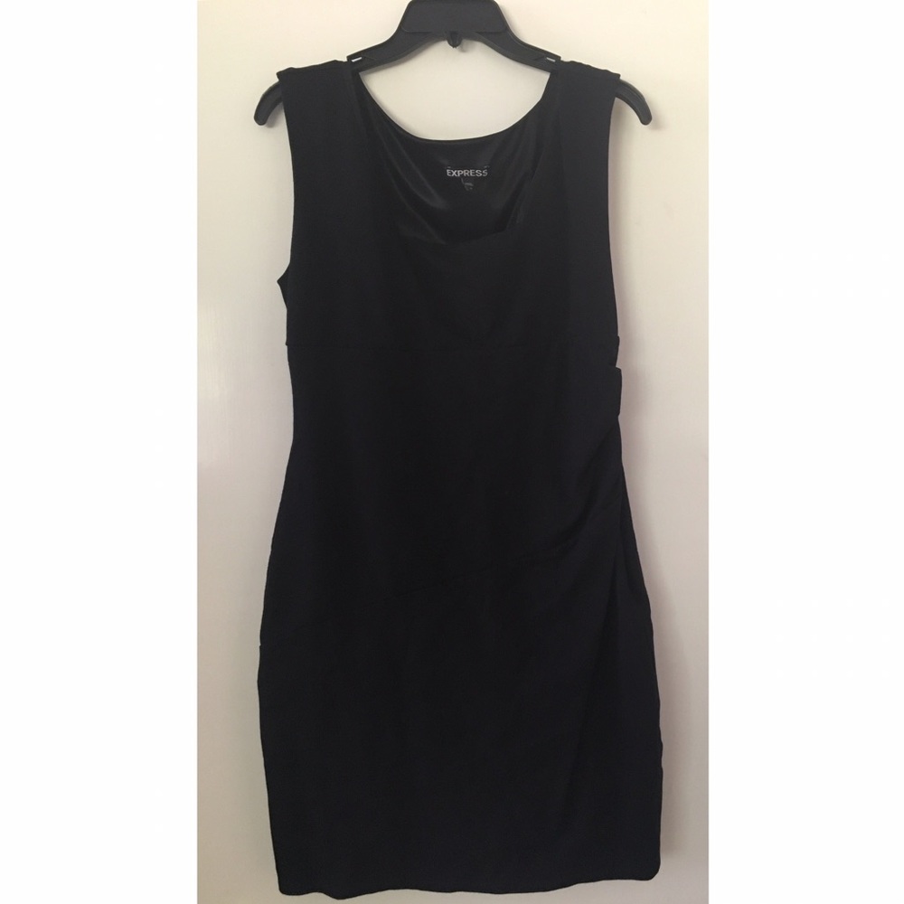 Express fitted dress